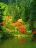 anim240320mobildesign.atw.hu_0157.gif